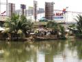 20131210kali-bekasi-yang-diduga-tercemar-limbah-b3.jpg