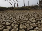 20150623-kemarau-kering_20150623_160856.jpg