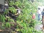 20151205-pohon-tumbang-di-rusunawa-jatinegara-barat_20151205_172827.jpg