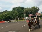 20160328edan-28-kuda-kena-virus-delman-dilarang-beroperasi-di-monas_20160328_104353.jpg