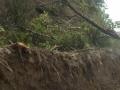 5112013-tanah-longsor.jpg