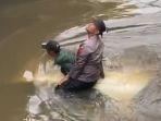 Anggota-Polisi-di-Padang-viral-usai-terjun-ke-Sungai-mengevakuasi-mobil.jpg