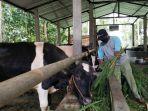 Baznas-menggelar-acara-sosialisasi-Pencegahan-PMK-pada-hewan-ternak.jpg