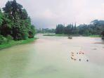 Danau-Lido-di-Cigombong-Kabupaten-Bogor-mengalami-pendangkalan-Sabtu-122025.jpg
