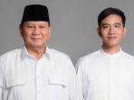 Kabinet-Prabowo-Subianto-Gibran-Rakabuming-Raka456.jpg