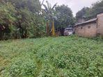 Lahan-milik-warga-yang-akan-terkena-proyek-normalisasi-dan-saringan-sampah-Kali-Ciliwung.jpg