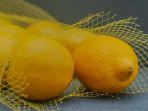 Lemon-dan-manfaatnya13.jpg