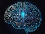 Otak-dengan-IQ-tinggi.jpg