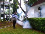 Pengasapan-atau-fogging-demam-berdarah-dengue.jpg