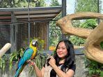 Pengunjung-bermain-bersama-burung-di-Wahana-Taman-Burung-di-Rivera-Bogor.jpg