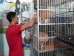 Penitipan-kucing-di-Depok.jpg