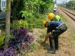 Petugas-PT-Kereta-Api-Indonesia-KAI-Daerah-Operasi-1-Jakarta-tengah-merawat-area-hijau-di-stasiun.jpg