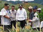 Pj-Gubernur-Sulsel-Bahtiar-Baharuddin-menargetkan-Sulsel-sebagai-penghasil-nanas.jpg