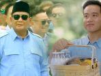 Rencana-Prabowo-Akan-Bentuk-Kementerian-Baru-Khusus-Urus-Program-Makan-Siang-Gratis.jpg