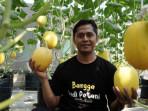 Samsul-pelaku-budi-daya-melon-hidroponik.jpg