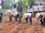 Suasana-tanam-jagung-di-lahan-urban-farming-Semanan-Sinergi-Jakarta-Barat.jpg