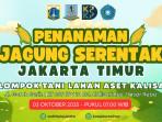 Suku-Dinas-KPKP-Jakarta-Timur-bakal-menanam-jagung-serentak-di-10-kecamatan-Jumat-3102025.jpg