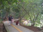 Tampilan-Hutan-Kota-Srengseng-Jakarta-Barat-di-Jalan-H-Kelik-Kecamatan-Kembangan-Jakarta-Barat.jpg