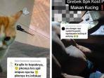 Viral-pemilik-kos-di-Semarang-Jawa-Tengah-makan-kucing.jpg