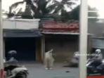 Wanita-ODGJ-mengamuk-merusak-minimarket-dan-warung-di-Babelan-Bekasi.jpg