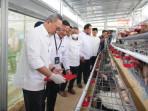 Zulkifli-Hasan-Zulhas-meninjau-program-pemberdayaan-PNM-di-Kopeng-Jawa-Tengah.jpg