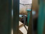 biawak-nyasar-ke-kamar-mandi.jpg