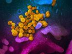 dasyatnya-virus-covid-19.jpg