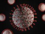 ilustrasi-virus-corona-dalam-animasi1.jpg