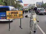 maskot-zebra.jpg