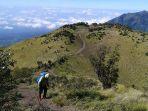 merbabu.jpg