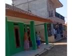monyet-perumahan.jpg