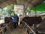 penjualan-hewan-kurban-di-tangsel.jpg