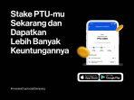 pintu-staking.jpg