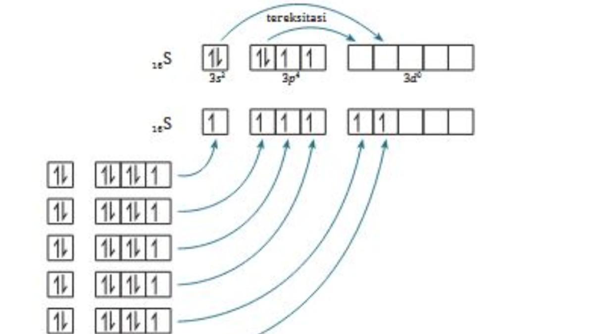 KUNCI JAWABAN - Tangkapan layar jawaban hibridisasi molekul soal nomor 1 yang diambil pada laman resmi buku.kemendikdasmen.go.id, Jumat (17/10/2025).