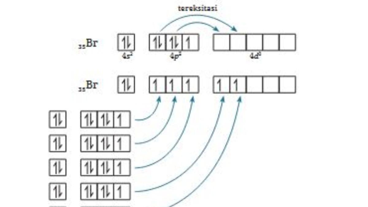 KUNCI JAWABAN - Tangkapan layar jawaban hibridisasi molekul soal nomor 2 yang diambil pada laman resmi buku.kemendikdasmen.go.id, Jumat (17/10/2025).