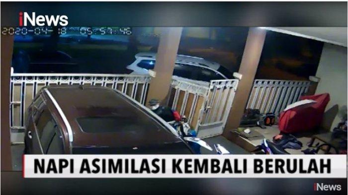 Aksi maling motor, Official iNews, Senin (20/4/2020). 