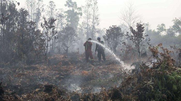 Harta Karun Peninggalan Kerajaan Sriwijaya Muncul di Karhutla, Warga Berbondong-bondong Cari Emas