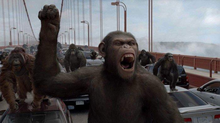 Sinopsis Film 'Rise of the Planet of the Apes', Tayang di Big Movies GTV Pukul 22.00 WIB