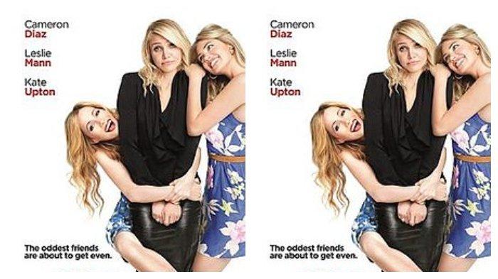 Sinopsis Film The Other Woman (2014),  Balas Dendam Tiga Wanita Korban Selingkuh, Tayang di Netflix