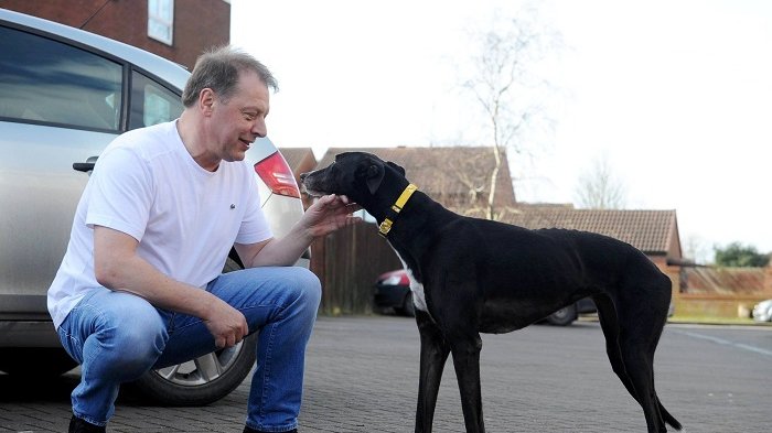 Kelewat Sayang, Pria Ini Beri Nafas Buatan Untuk Anjingnya yang Sekarat