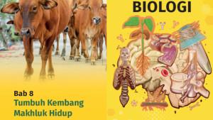 cover-bio-8.jpg