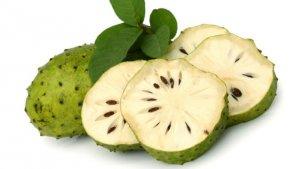 ilustrasi-buah-sirsak.jpg