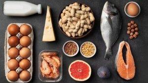 ilustrasi-makanan-yang-kaya-akan-protein.jpg