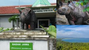 ujung-kulon.jpg
