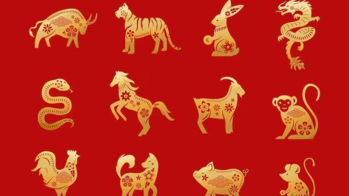 Chinese-Zodiac-atau-Shio.jpg