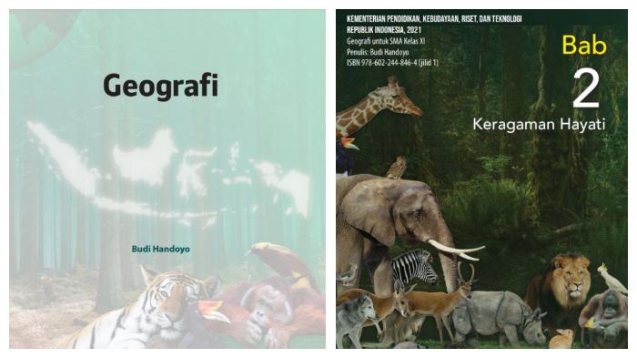 Kolase-sampul-Buku-Geografi-untuk-SMA-Kelas-11-Kurikulum-Merdeka.jpg
