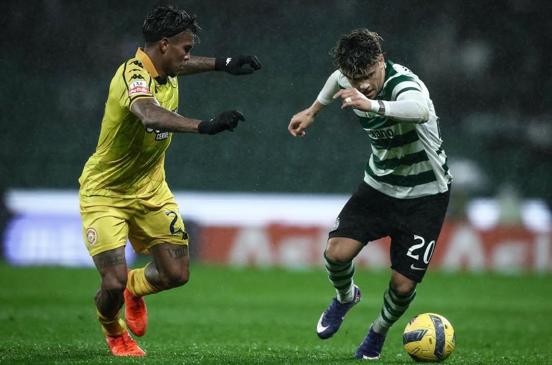 Potret-Maxi-Araujo.jpg