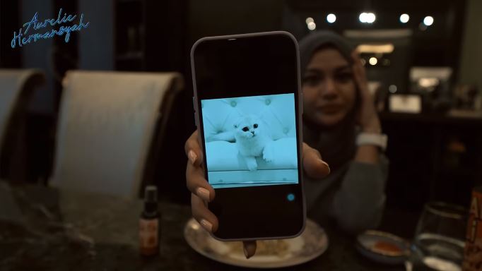 Atta Halilintar Sepakat Adopsi Kucing dari Rusia, Aurel Hermansyah: Jadi Nanti Dia Punya Paspor