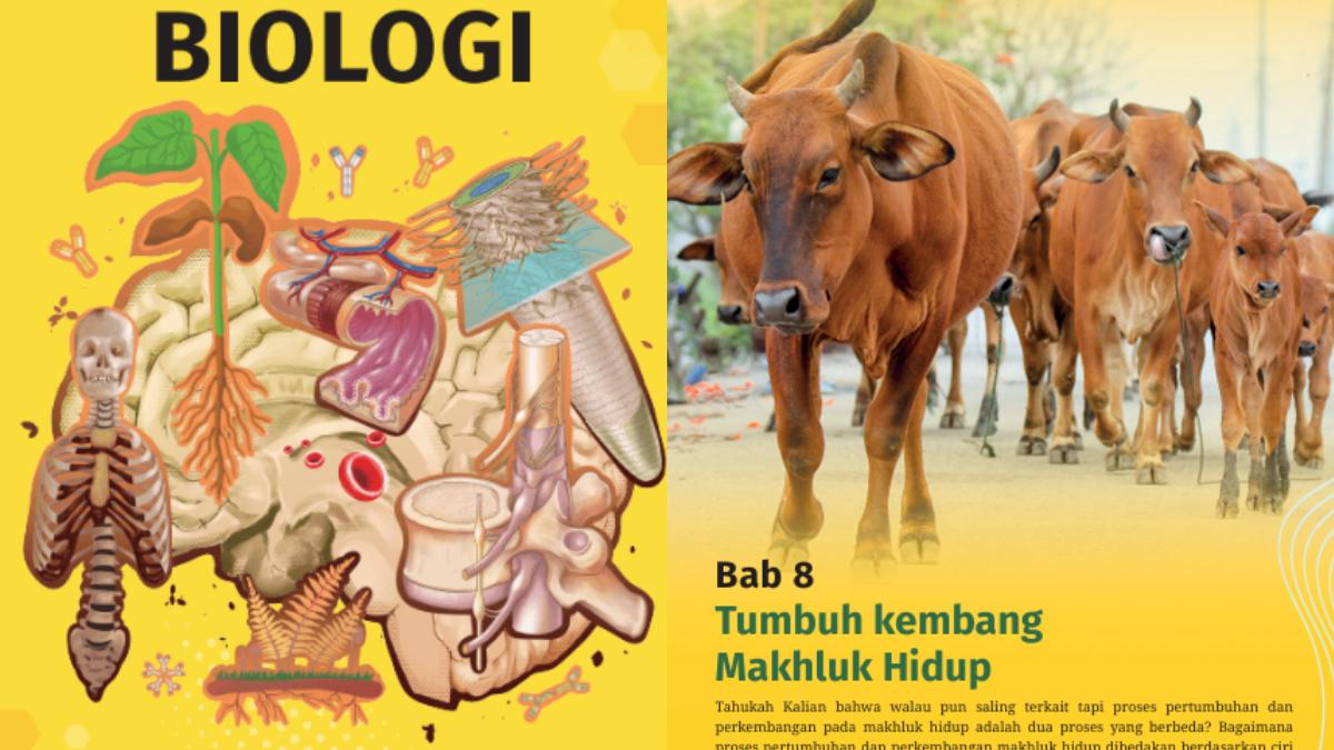 biologi-xi.jpg