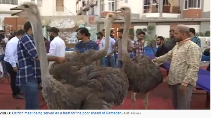 burung-unta-disembelih-dan-dihidangkan-untuk-buka-puasa-di-pakistan.jpg